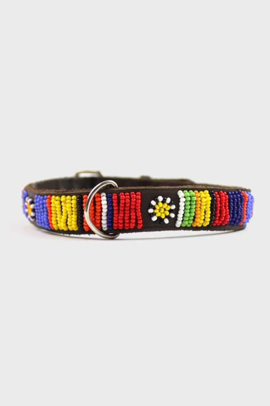 Accessories Aspiga | Dog Collar