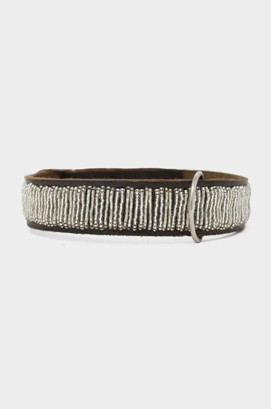 Accessories Aspiga | Dog Collar