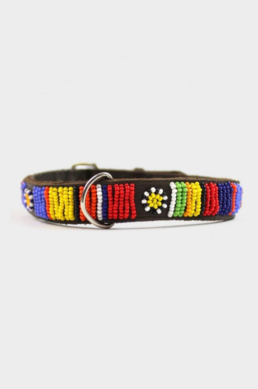 Accessories Aspiga | Dog Collar