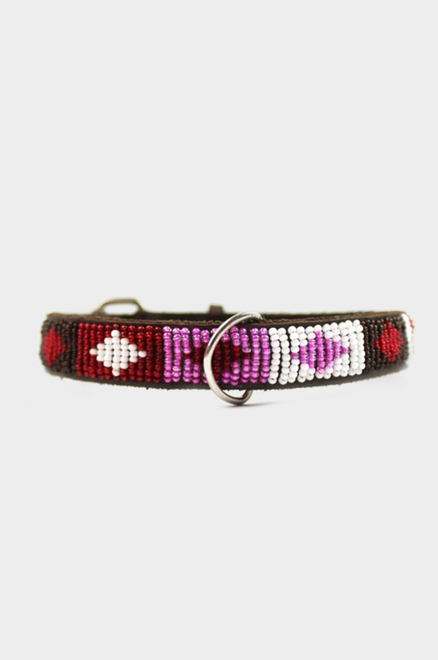 Accessories Aspiga | Dog Collar