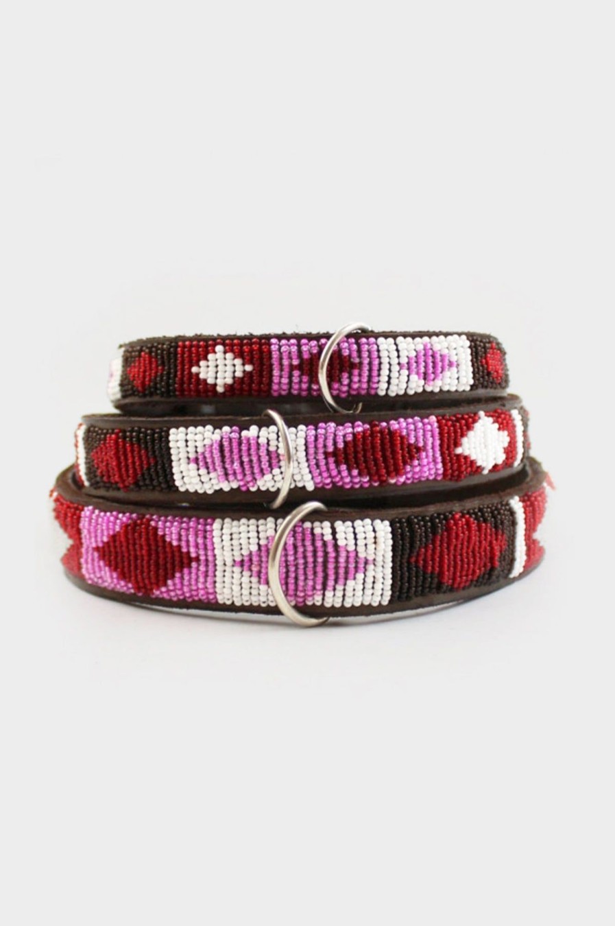 Accessories Aspiga | Dog Collar