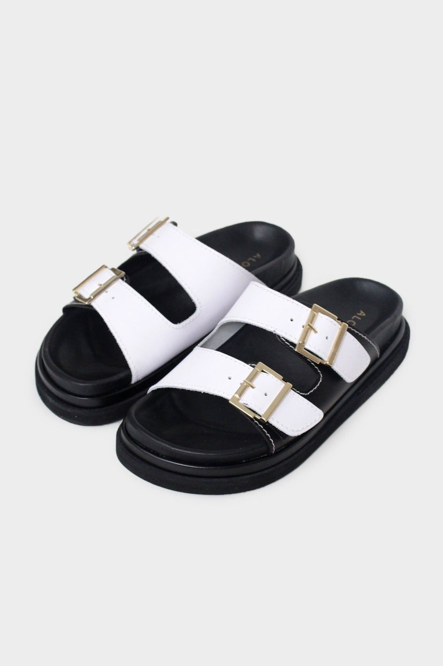 Womenm Aspiga Sandals | Buckle-Strap Sandals