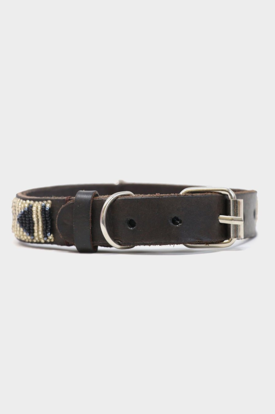 Accessories Aspiga | Dog Collar