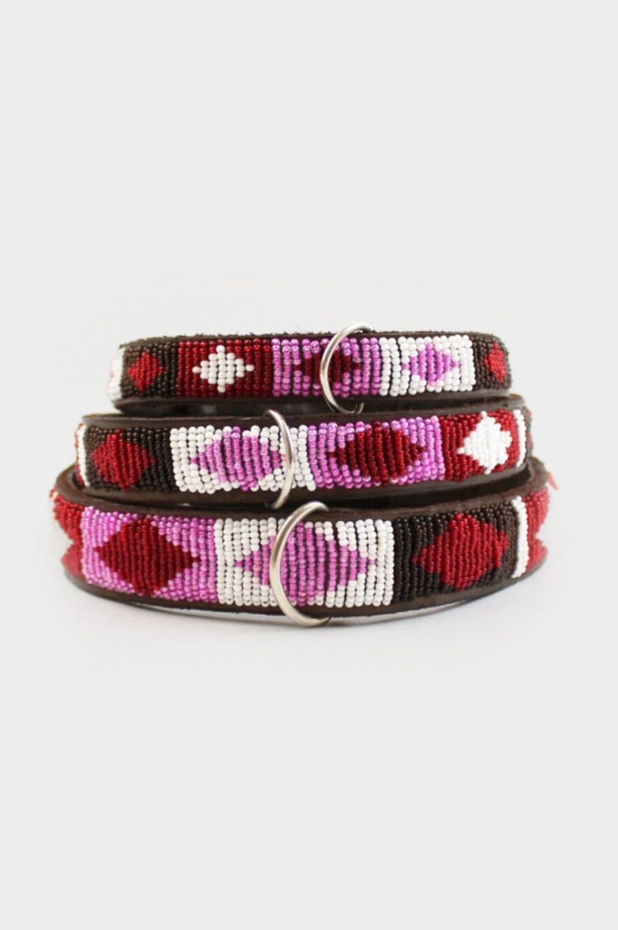 Accessories Aspiga | Dog Collar