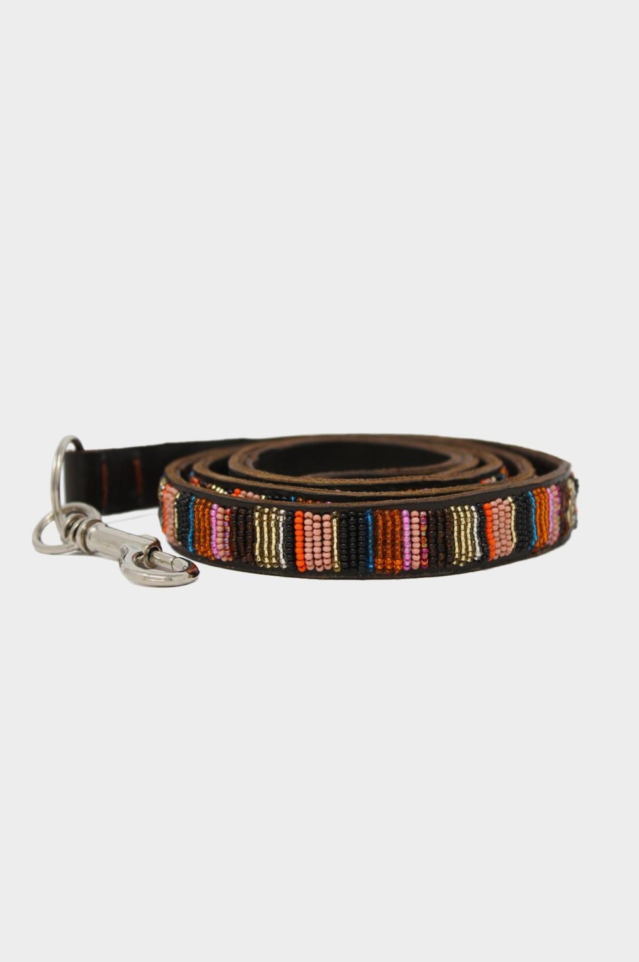 Accessories Aspiga | Dog Lead