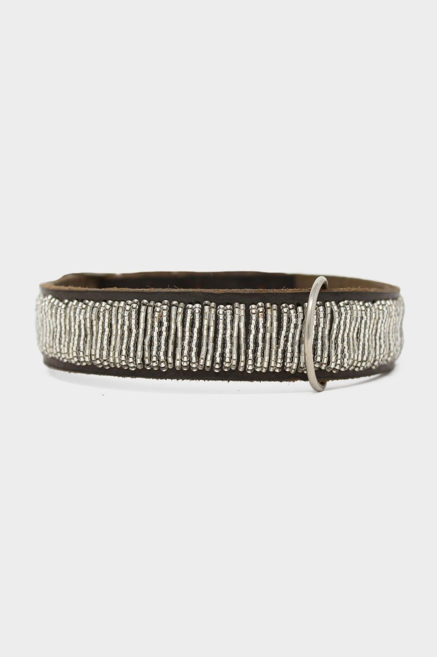 Accessories Aspiga | Dog Collar