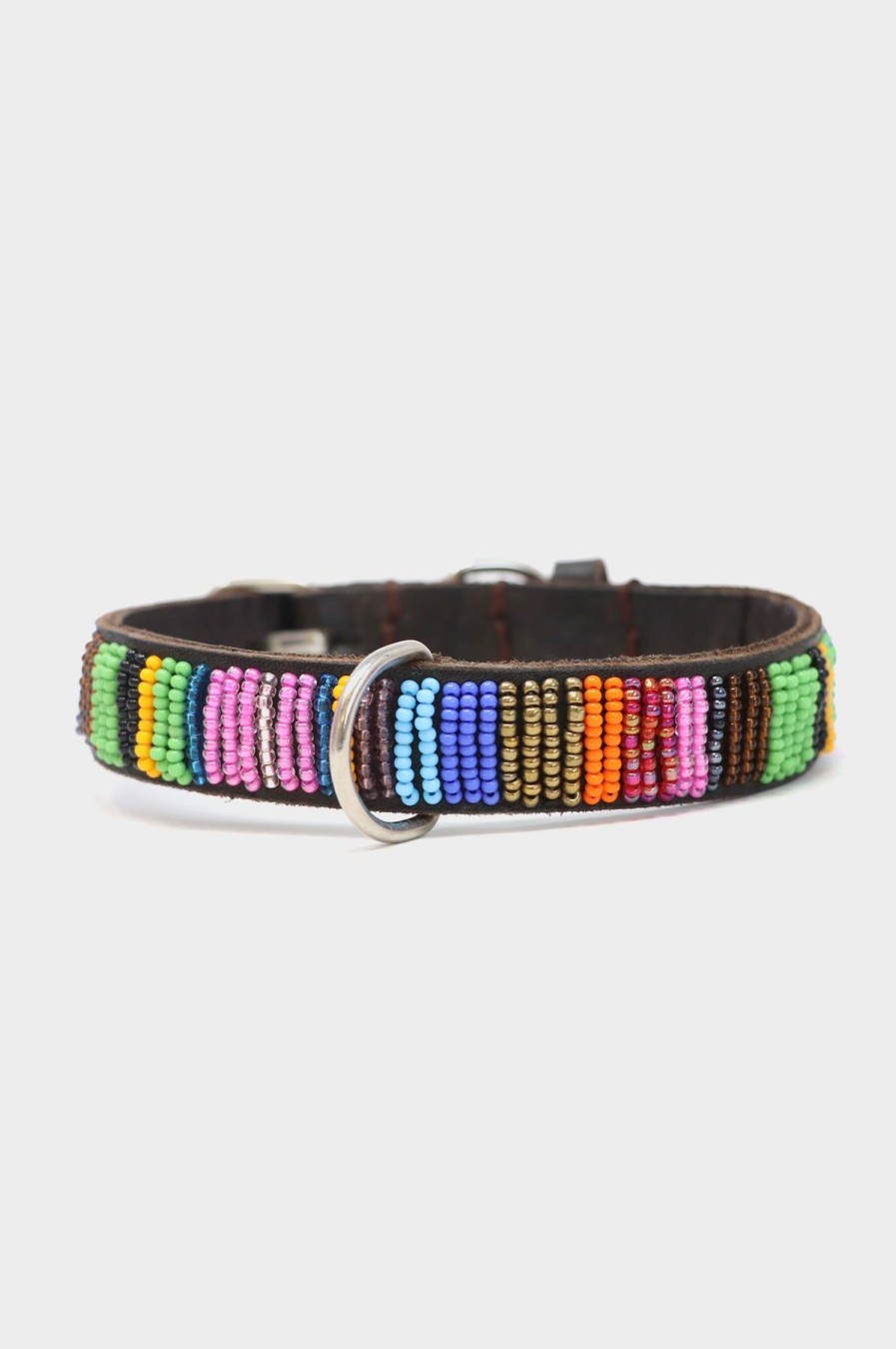 Accessories Aspiga | Dog Collar