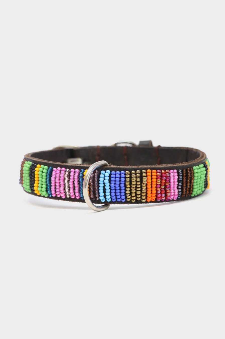 Accessories Aspiga | Dog Collar