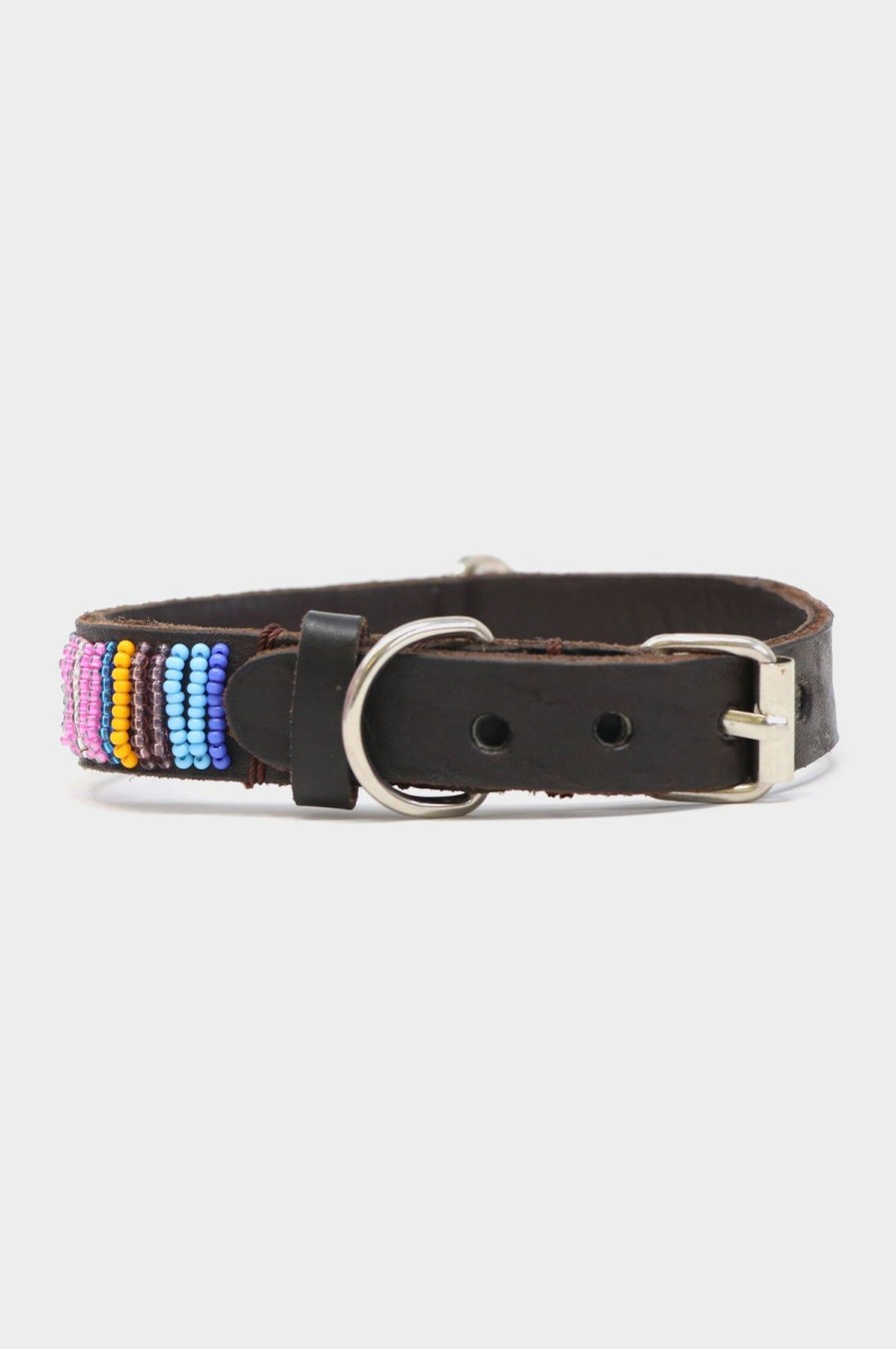 Accessories Aspiga | Dog Collar